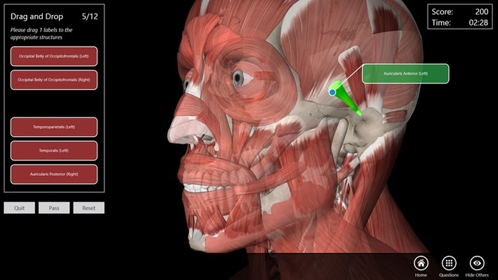 Essential Anatomy 5 5.0注册版-3D解剖学习工具