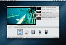 Ephnic Video Converter 1.1.0 MacOSX 注册版-视频转换器-龙软天下