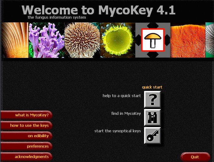 MycoKey 4.1 正式版-真菌信息系统