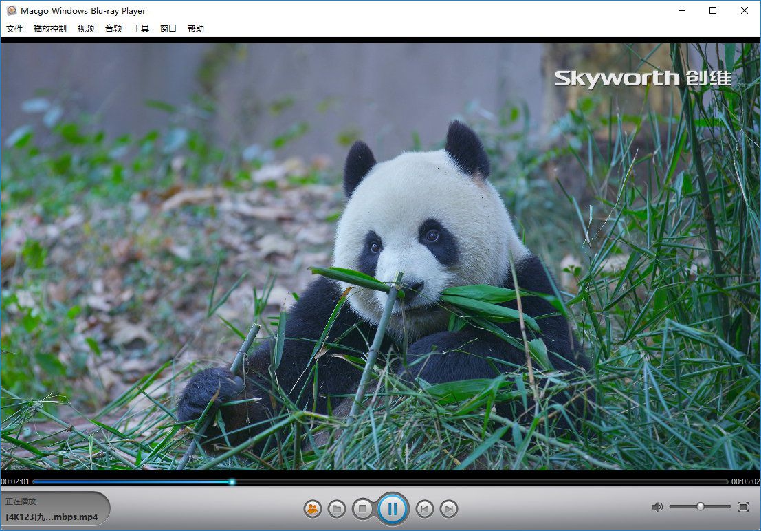 Mac Blu-ray Player for Windows 2.17.2.2614 多语言中文注册版