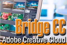 Adobe Bridge CC 2015 6.3.1.186 x86/x64 多语言中文版 -Adobe图像浏览与管理-龙软天下