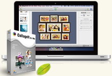 CollageIt 3 Pro v3.6.0 MacOSX 多语言注册版-自动拼图工具-龙软天下