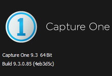Capture One Pro 9.3 Build 085 x64 多语言中文注册版-RAW格式处理软件-龙软天下