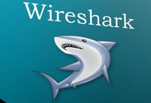 WireShark v4.0.4 Stable Win/Mac 多语言中文版- 网络数据包分析软件-龙软天下