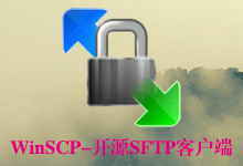 WinSCP v6.3 Final + Portable 多语言中文正式版-SSH开源图形化SFTP客户端-龙软天下