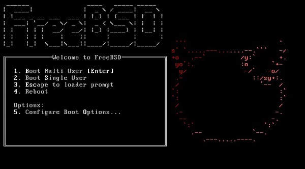 FreeBSD 11.0 正式版发布：支持RISC-V指令集和NUMA内存调度