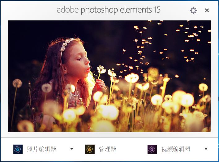 Adobe Photoshop Elements 15.0 Win x64/Mac 多语言中文注册版-图像编辑