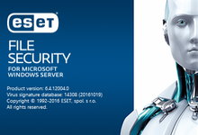 ESET File Security 6.4.12004.0 for Microsoft Windows Server 正式版-简体中文/繁体中文/英文-龙软天下