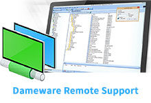 DameWare Remote Support v12.2.4.11 x64 注册版 - 远程控制和系统管理工具-龙软天下