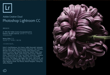 Adobe Photoshop Lightroom CC v6.12 Final Win/Mac多语言中文注册版-龙软天下