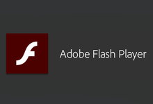Adobe Flash Player v31.00.122 Final 正式版-龙软天下