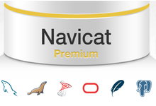 Navicat Premium v12.1.25/12.1.27 Win/Mac 简体中文/繁体中文/英文注册版-数据库管理工具-龙软天下