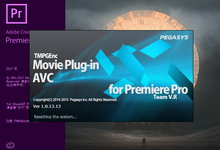TMPGEnc Movie Plug-in AVC for Premiere Pro v1.0.13.13 注册版-龙软天下