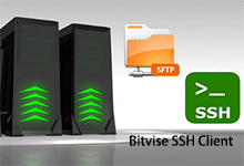 Bitvise SSH Client v8.36 + Portable 正式版-SSH和SFTP客户端-龙软天下