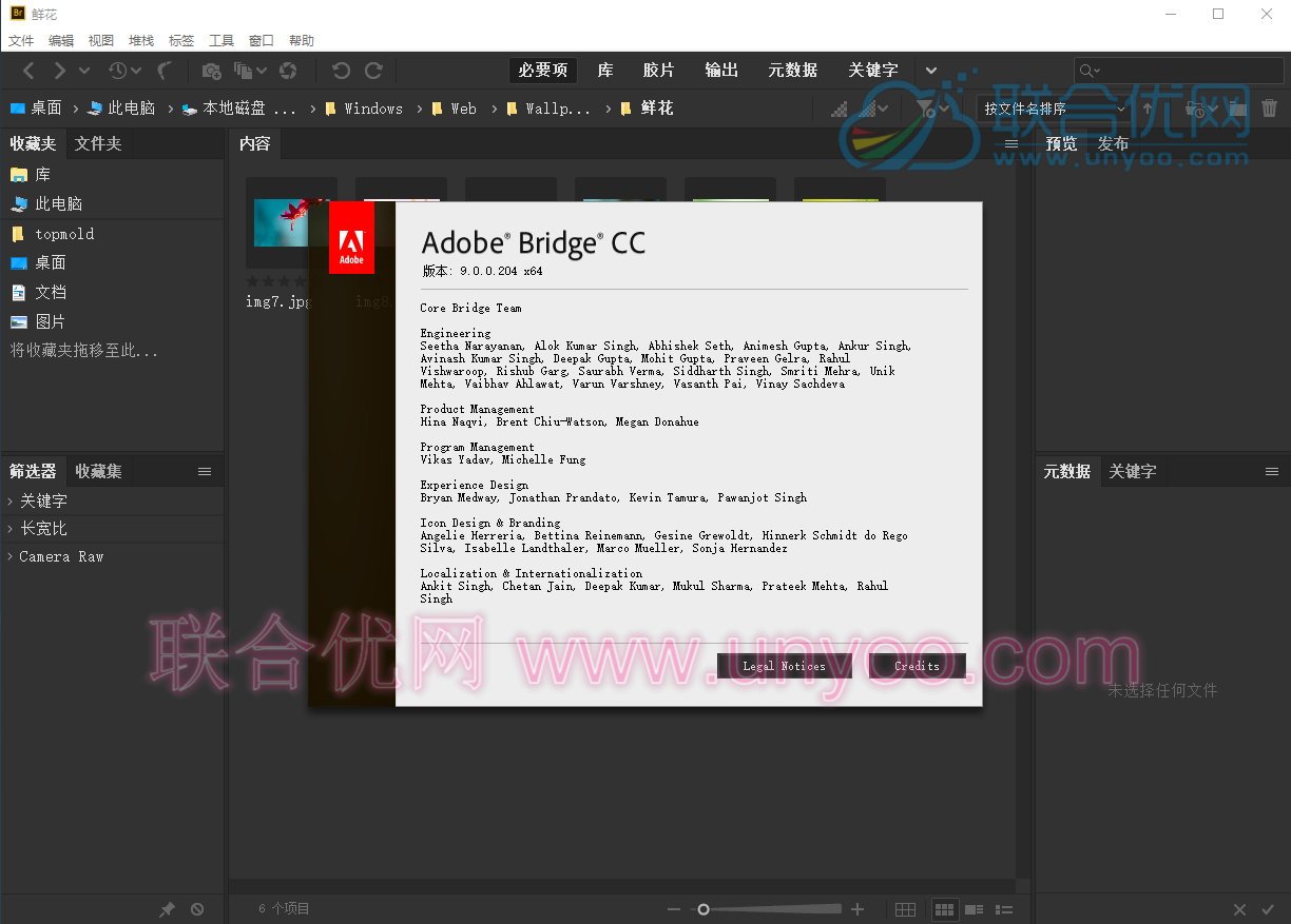 Adobe Bridge CC 2019 v9.0.0.204 x86/x64 Win/Mac 多语言中文正式版