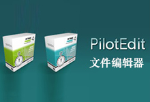 PilotEdit v12.3.0 多语言中文注册版-文件编辑器-龙软天下