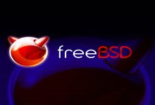 FreeBSD v12.0 RELEASE 正式发布附下载-Linux操作系统-龙软天下
