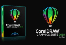 CorelDRAW Graphics Suite 2019 v21.2.0.708 for Mac 多语言中文注册版-龙软天下
