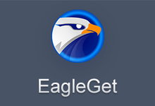EagleGet v2.1.5.10 Final 多语言中文正式版-下载工具-龙软天下