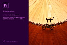 Adobe Premiere Pro 2020 v14.9.0.52 多语言中文注册版-龙软天下