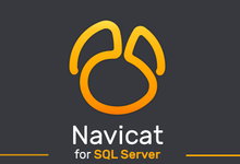 Navicat for SQL Server v15.0.10 企业注册版-简体中文/繁体中文/英文-龙软天下