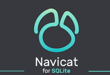 Navicat for SQLite v15.0.10 企业注册版-简体中文/繁体中文/英文-龙软天下