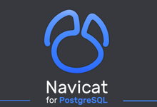 Navicat for PostgreSQL v15.0.10 企业注册版-简体中文/繁体中文/英文-龙软天下