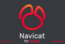 Navicat for Oracle v15.0.10 企业注册版-简体中文/繁体中文/英文-龙软天下