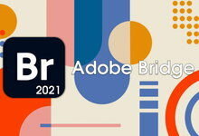Adobe Bridge 2021 v11.1.1.185 x64 Multilingual 多语言中文版-龙软天下
