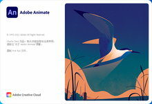 Adobe Animate 2021 v21.0.9.42677 x64 Multilingual 多语言中文注册版-龙软天下
