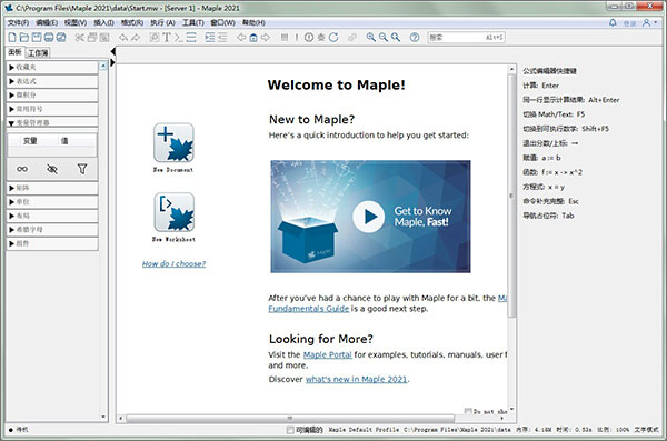 Maplesoft Maple 2023 Multilingual 多语言中文注册版