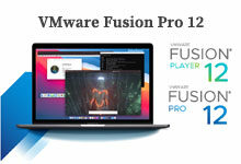 VMware Fusion Pro v12.2.4 Build 20071091 多语言中文注册版-龙软天下