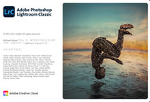 Adobe Photoshop Lightroom Classic v11.5.0.4 Final Multilingual 正式版-龙软天下