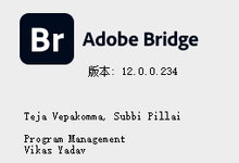 Adobe Bridge 2023 v13.0.2.636 Multilingual 正式版-龙软天下
