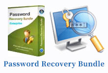 Password Recovery Bundle 5.6 Enterprise 注册版附Key - 密码恢复工具包-龙软天下
