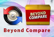 Beyond Compare v4.4.6.27483 Win/Mac中英文正式版-文件对比工具-龙软天下