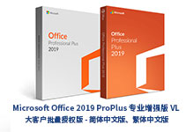 Microsoft Office 2019 专业增强版 x86/x64 2022年5月批量许可离线安装版-简体中文/繁体中文-龙软天下