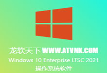 微软官方正版特价！Windows 10 Enterprise LTSC 2021 版-龙软天下