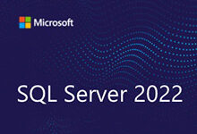 Microsoft SQL Server 2022 Enterprise 正式版 - 简体中文/繁体中文/英文-龙软天下
