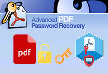 Advanced PDF Password Recovery v5.11.187 Enterprise Multilingual 中文注册版- PDF密码恢复-龙软天下