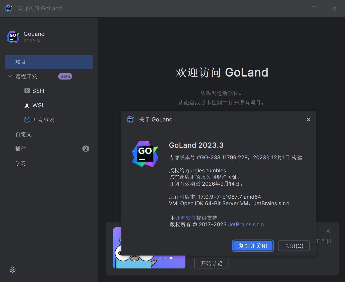 JetBrains GoLand 2023.3 x64 Multilingual 中文注册版