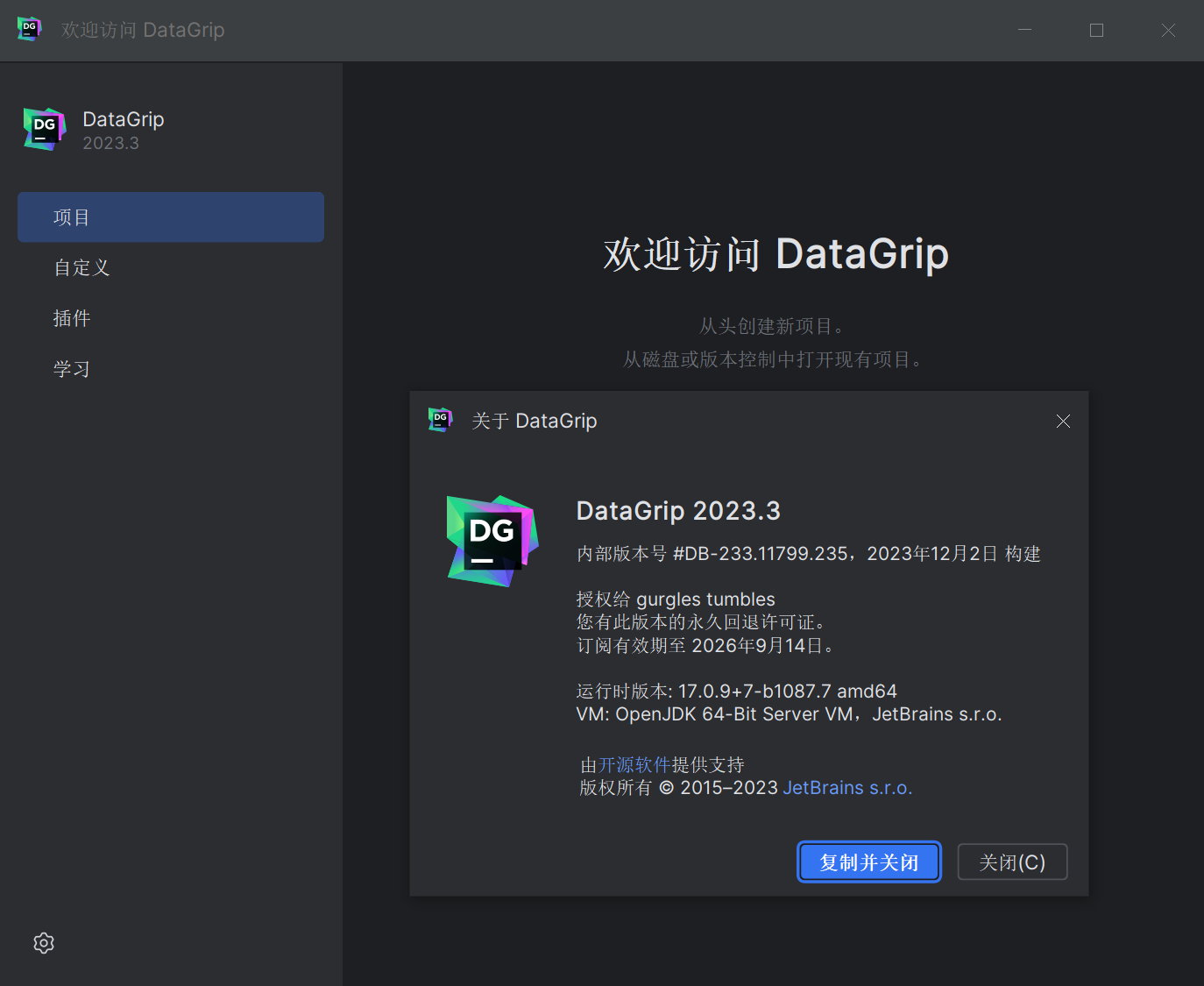 JetBrains DataGrip 2023.3 x64 Multilingual 中文注册版