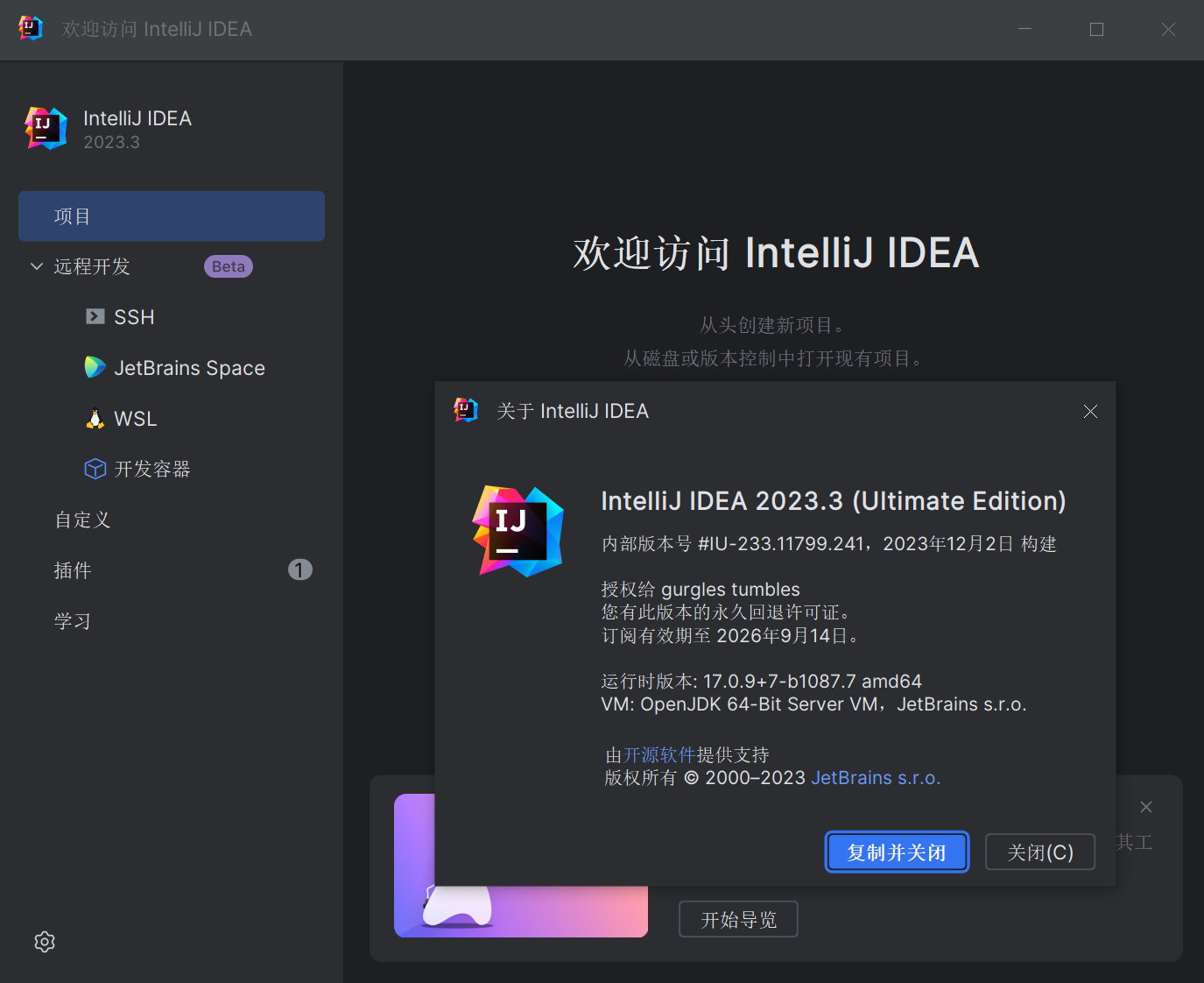 JetBrains IntelliJ IDEA Ultimate 2023.3 x64 Multilingual 中文注册版
