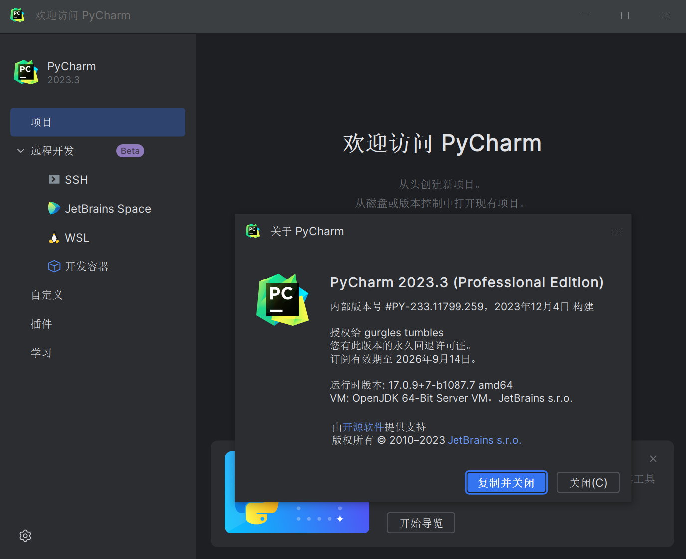 JetBrains PyCharm Pro 2023.3 x64 Multilingual 中文注册版