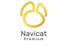 Navicat Premium 16.3.2 x32/x64 注册版 - 数据库开发管理工具-龙软天下