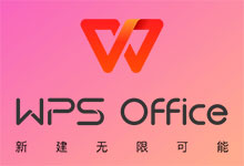 WPS Office Pro 2019 v11.8.2.12195 中文专业注册版附Key-龙软天下