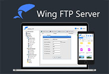 Wing FTP Server Corporate 7.2.8 Multilingual 多语言中文注册版-龙软天下